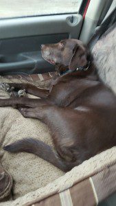 20160126_160622_resized