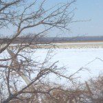 2013-02-22_13-31-50_274