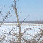 2013-02-22_13-32-08_147