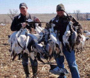 Game strap were full on many of our early guided snow goose hunts in 2012.