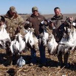Deadly Decoys™ snow goose decoys worked today!
