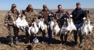 Deadly Decoys™ snow goose decoys worked today!