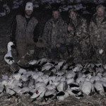 February snow goose hunt