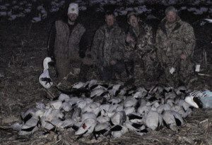 February snow goose hunt