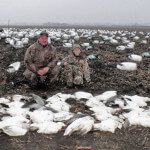 February is as good of a time as any to hunt snow geese during the conservation order.