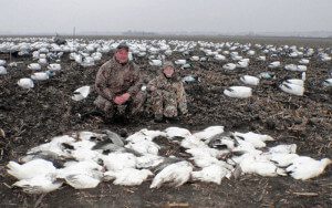 February is as good of a time as any to hunt snow geese during the conservation order.