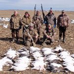 Snow geese migrated big time this day.