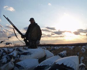 Extension tubes are legal when hunting snow geese during the spring season. This hunter might be taking it to extremes.