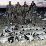 A successful early March snow goose hunt in Missouri.