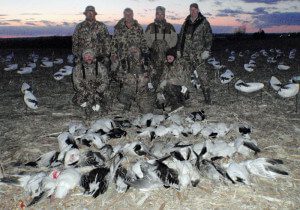 A successful early March snow goose hunt in Missouri.