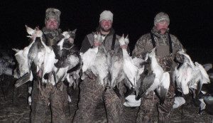We have a communication page exclusively for out hunter. It allows our hunters the ability to track the snow goose migration and our success.