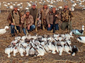 We are highly successful at hunting snow geese but remember these are migrating birds and weather can affect the hunting.