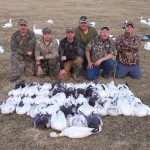 Here is a February snow goose hunt that I often tell people about. On this particular day we didn’t shoot a snow goose all morning. My guide Tryg called about 11:30am telling me his group was heading into town for lunch and his snow goose hunter’s count was in the upper teen for the morning hunt. When I told him we didn’t fire a shot he was surprised. At 3pm he called again telling me that they had just got back into their blinds. In the time they were at lunch we had shot 38 snow geese and the yellow neck collar. We ended the day with 45 snow geese. Had my group done what his did they would have only shot 7 birds that day. Tryg’s group ended the day with 36 birds. If you are not in the field you will not kill birds. This is the only thing I guarantee on our snow goose hunts.