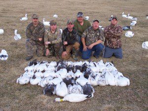 Here is a February snow goose hunt that I often tell people about. On this particular day we didn’t shoot a snow goose all morning. My guide Tryg called about 11:30am telling me his group was heading into town for lunch and his snow goose hunter’s count was in the upper teen for the morning hunt. When I told him we didn’t fire a shot he was surprised. At 3pm he called again telling me that they had just got back into their blinds. In the time they were at lunch we had shot 38 snow geese and the yellow neck collar. We ended the day with 45 snow geese. Had my group done what his did they would have only shot 7 birds that day. Tryg’s group ended the day with 36 birds. If you are not in the field you will not kill birds. This is the only thing I guarantee on our snow goose hunts.