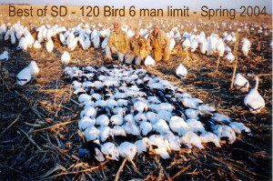120 sd