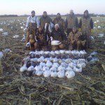 You will never out guess the spring snow goose migration. The geese were very late arriving to Missouri in 2010. There were some birds but in very small numbers so we cancelled a couple days of hunts. With nothing better to do the Up North Outdoor guided decided to hunt one of these small pockets we had found about 3 hours from Mound City. We arrive to that area just about day break and it was very apparent that a large number of geese had moved into the area overnight. We gained access to a field and set the snow goose spread for an afternoon hunt. We shot 53 snow geese as birds poured from the south all afternoon. That evening I was back on the phone telling hunters we were back in business. We had a very successful last week of February and it turned out to be the best hunting we had in 2010.