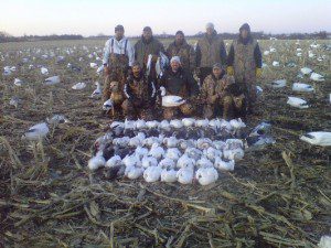 You will never out guess the spring snow goose migration. The geese were very late arriving to Missouri in 2010. There were some birds but in very small numbers so we cancelled a couple days of hunts. With nothing better to do the Up North Outdoor guided decided to hunt one of these small pockets we had found about 3 hours from Mound City. We arrive to that area just about day break and it was very apparent that a large number of geese had moved into the area overnight. We gained access to a field and set the snow goose spread for an afternoon hunt. We shot 53 snow geese as birds poured from the south all afternoon. That evening I was back on the phone telling hunters we were back in business. We had a very successful last week of February and it turned out to be the best hunting we had in 2010.