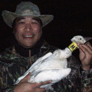 This lucky hunter was on his first snow goose hunt and was lucky enough to win the draw for this ross goose with a yellow neck collar.