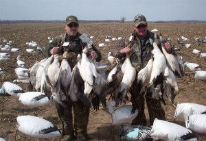 It's a good thing we have ATV's. It would be a workout walking these game straps loaded down with snow geese to the truck.