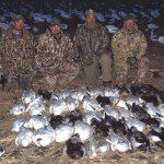 This is the first day Damian Kuzmin and I hunted over Deadly Decoys™ together. His party combined with the 4 hunters in the picture shot 46 snow geese in early March.