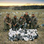 Here is a late March Missouri snow goose hunt... 48 snow geese.