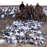 Jagger party snow goose hunt Feb 24, 2006. They tried hard but were one shy of cracking the 100 bird mark... 99 is still pretty good!