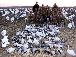 Jagger party snow goose hunt Feb 24, 2006. They tried hard but were one shy of cracking the 100 bird mark... 99 is still pretty good!