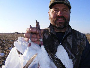 South Dakota snow goose hunting produced a lot of bands this year.
