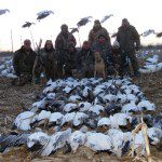 A strong migration of snow geese on this day allowed this group of 8 hunters to harvest 90 birds.