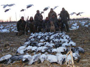 A strong migration of snow geese on this day allowed this group of 8 hunters to harvest 90 birds.