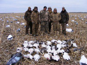 South Dakota Snow goose hunts