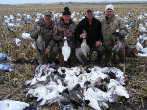 Snow goose hunting South Dakota