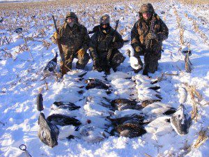 Here is another group of hunters that did well on a snowy late Feb snow goose hunt.