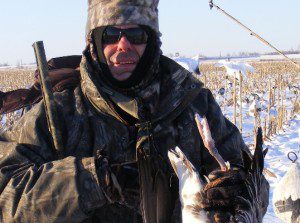 Banded Blue goose