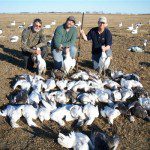 Snow goose hunting in South Dakota this year was incredible for the first few days.