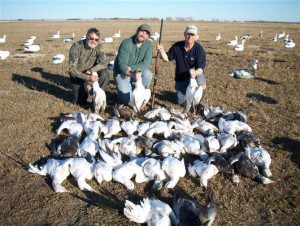 Snow goose hunting in South Dakota this year was incredible for the first few days.
