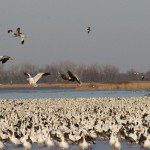 Squaw Creek National Wildlife Refuge