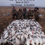 Best of our 2011 snow goose hunts. Five hunters shot 130 snows.