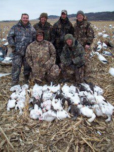 The end of Feb is as good as any time to hunt snow geese as show by this party of hunters with their 39 snow geese.