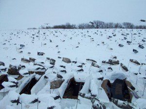 Some days it’s the little things that make our snow goose hunts successful. When it snows we get out the snow covers so the blinds disappear.