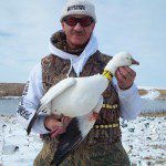 Up North Outdoors snow goose guide Curt Schrader with a neck collar he shot. You will not harvest any birds if you don’t stay in the field. On their last day Curt’s party decided it was too cold to hunt so he hunted by himself and was rewarded with this ross goose. He’s lucky and shoots more banded birds than anybody I know.