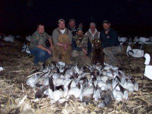 Most of our guides hunt when they are not guiding. This is an afternoon we had off so we hit the field. It was a good afternoon with 52 birds taken.
