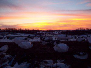 Our full day hunts run to sunset.
