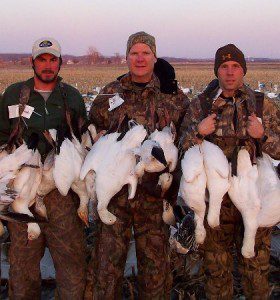 Guided snow goose hunts