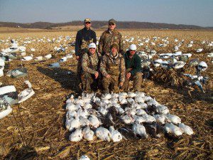 Snow goose outfitter