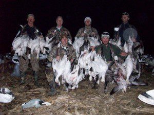 Guided snow goose hunt