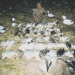Curt & New Decoys