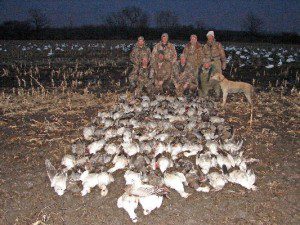 Here is a late February Missouri snow goose hunt. They shot 101 snows and it is also the day the white neck collared blue was shot.