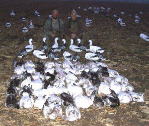 Here is the second day Damian and I hunted together over Deadly Decoys™... 62 snow geese.