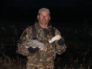 Another picture of the blue goose with the white neck collar. Notice the missing leg band.